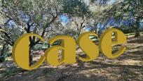terreno agricolo in vendita a Camaiore