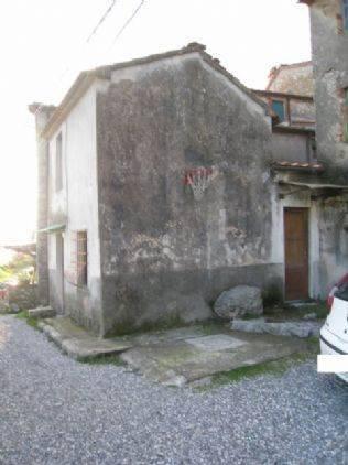 casale in vendita a Camaiore in zona Santa Maria Albiano