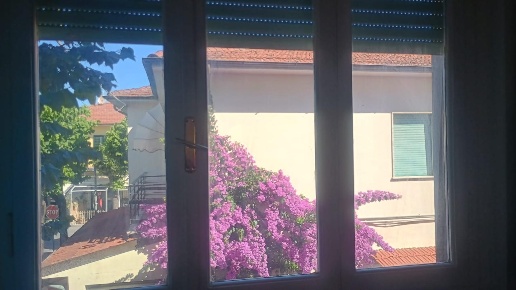 appartamento in vendita a Camaiore in zona Lido di Camaiore