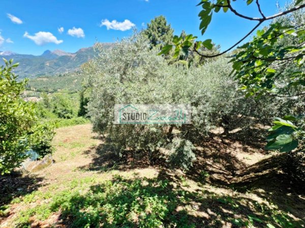 terreno agricolo in vendita a Camaiore in zona Montemagno