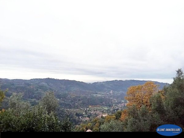 casa indipendente in vendita a Camaiore in zona Torcigliano