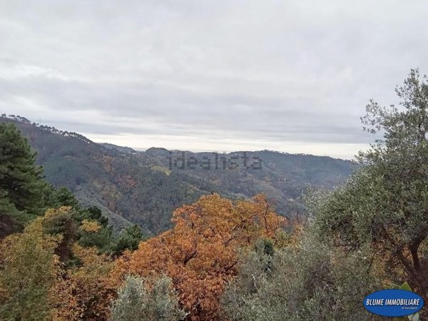 casa indipendente in vendita a Camaiore in zona Torcigliano