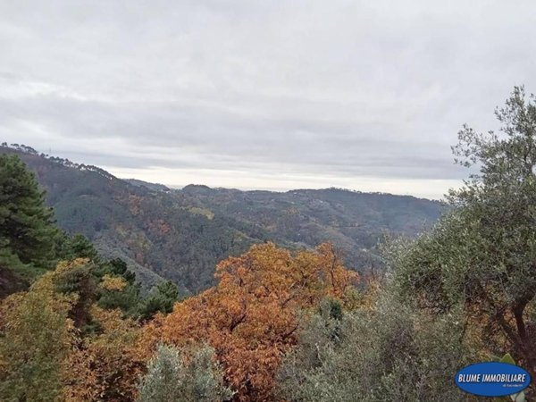 casa indipendente in vendita a Camaiore in zona Torcigliano