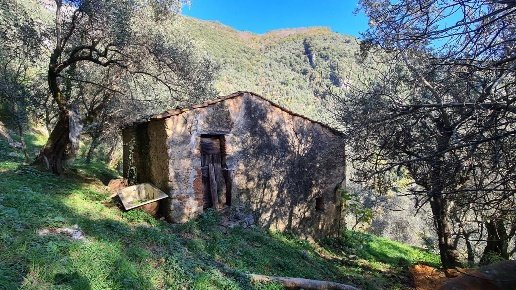 appartamento in vendita a Camaiore