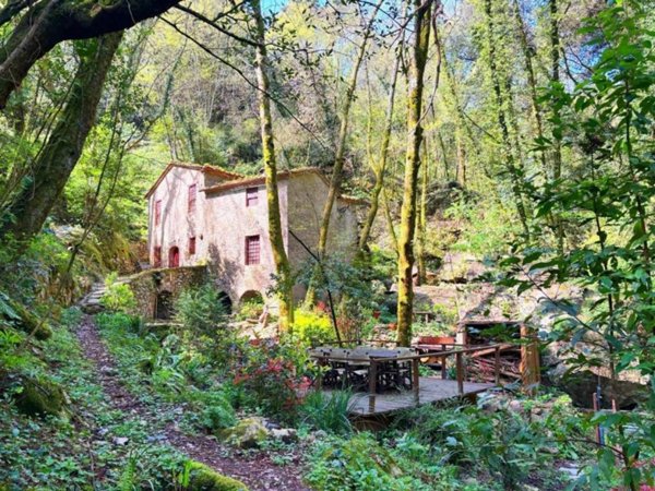 casa indipendente in vendita a Camaiore in zona Orbicciano