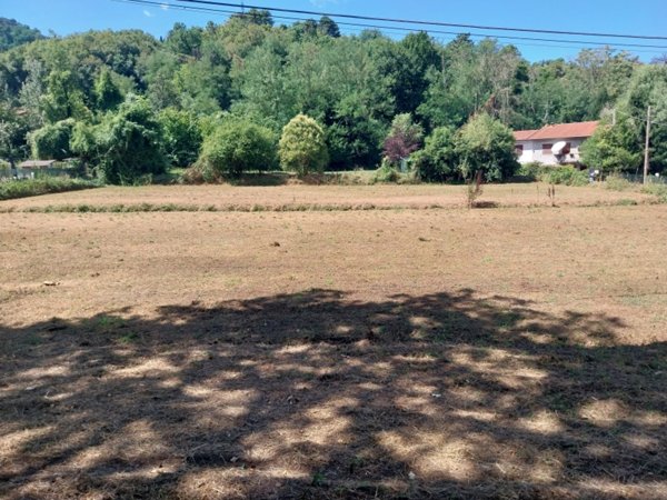 terreno agricolo in vendita a Camaiore