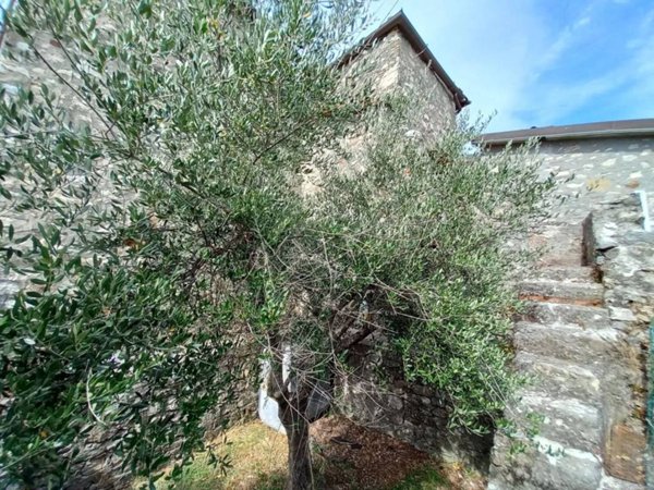 casa indipendente in vendita a Camaiore