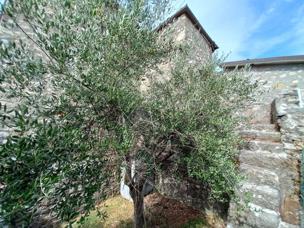 casa indipendente in vendita a Camaiore