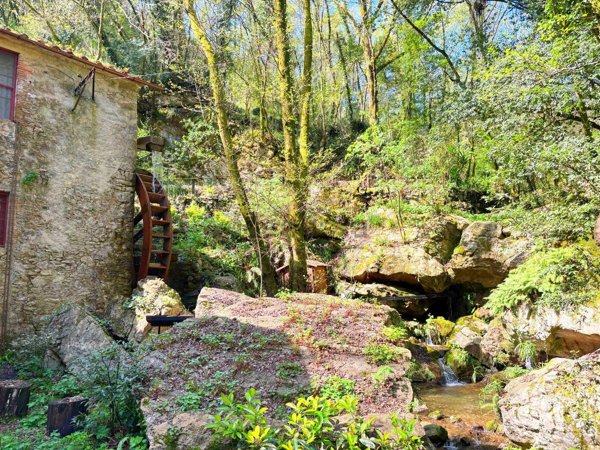 casa indipendente in vendita a Camaiore