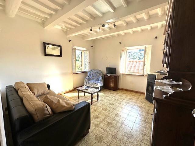 casa indipendente in vendita a Camaiore in zona Montemagno
