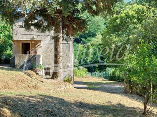 casa indipendente in vendita a Camaiore