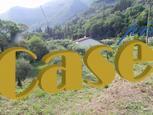 terreno agricolo in vendita a Camaiore in zona Lombrici