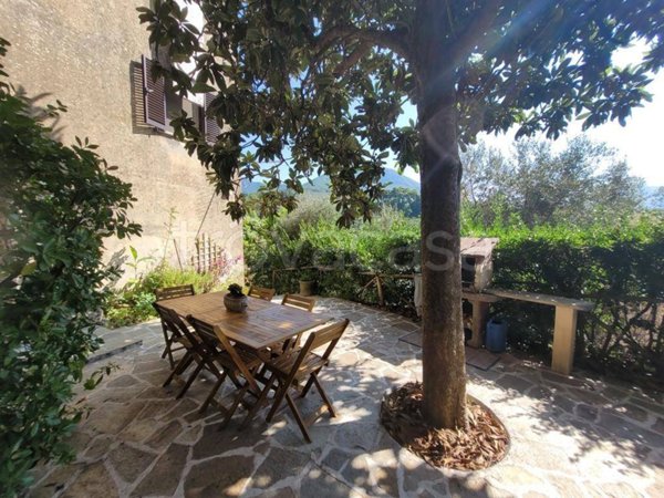 casa indipendente in vendita a Camaiore in zona Monteggiori