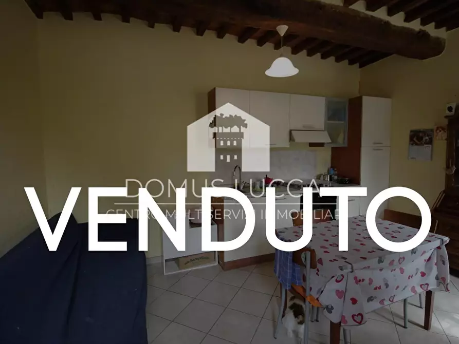 appartamento in vendita a Camaiore