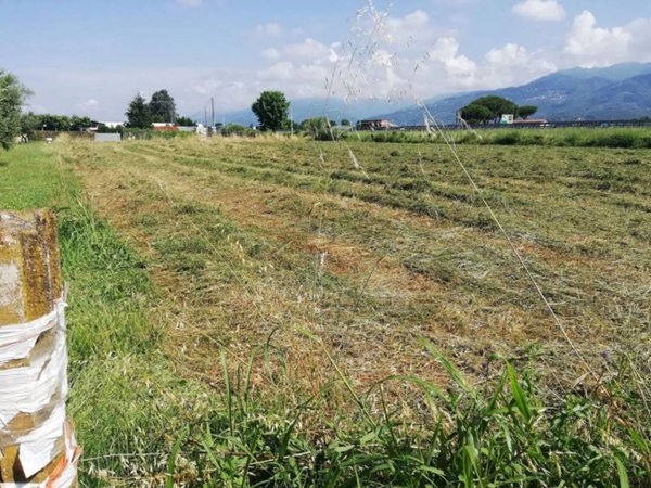 terreno agricolo in vendita a Camaiore in zona Lido di Camaiore