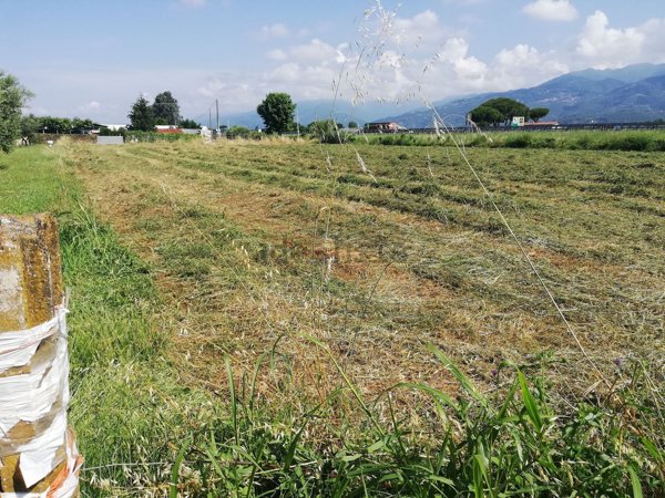 terreno agricolo in vendita a Camaiore in zona Lido di Camaiore