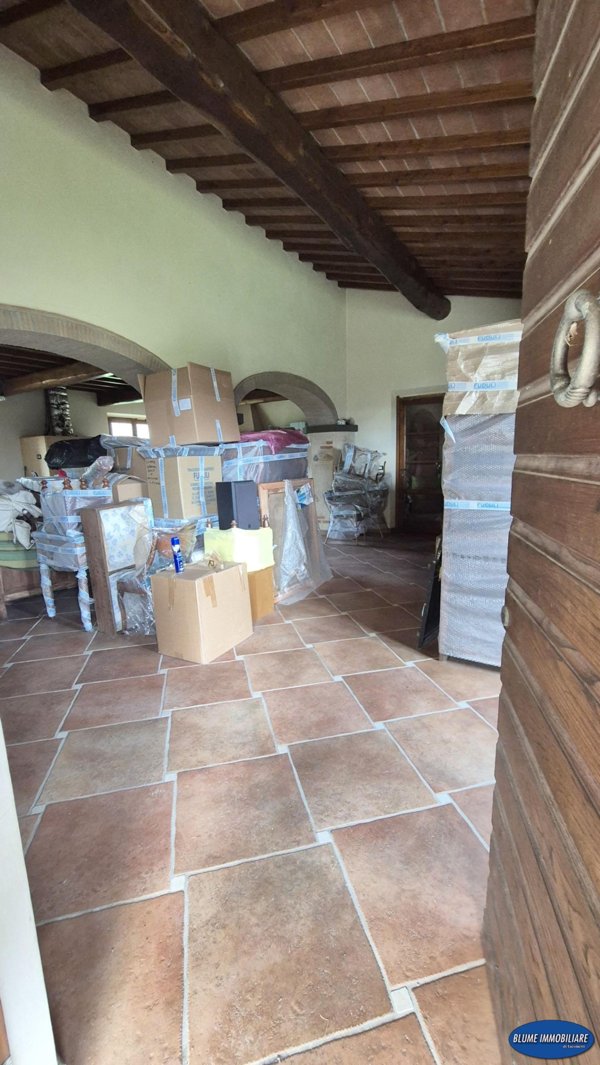 casale in vendita a Camaiore in zona Capezzano Pianore