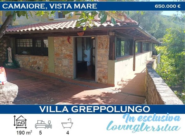 casa indipendente in vendita a Camaiore in zona Greppolungo