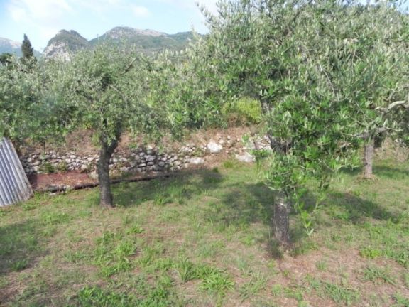 terreno agricolo in vendita a Camaiore in zona Lombrici