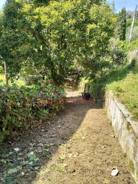 casa indipendente in vendita a Camaiore