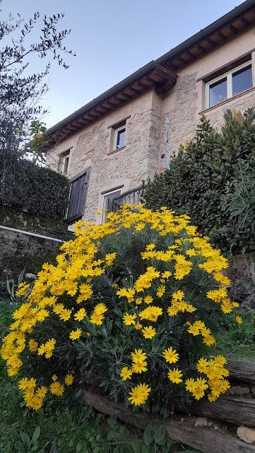 casa indipendente in vendita a Camaiore