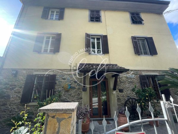 esavano in vendita a Camaiore