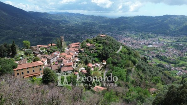 terreno agricolo in vendita a Camaiore in zona Greppolungo