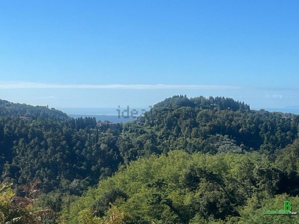 casa indipendente in vendita a Camaiore