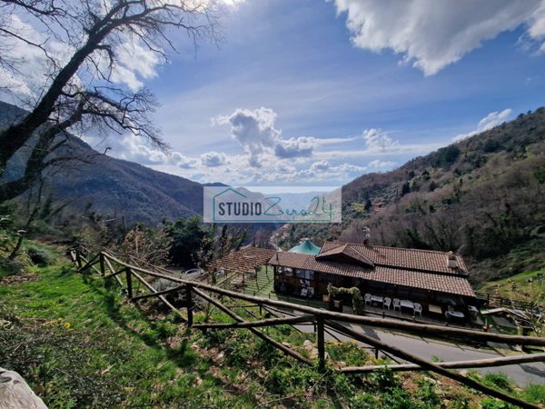 locale commerciale in vendita a Camaiore in zona Casoli