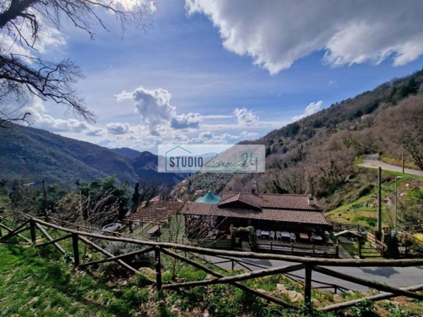 locale commerciale in vendita a Camaiore in zona Casoli