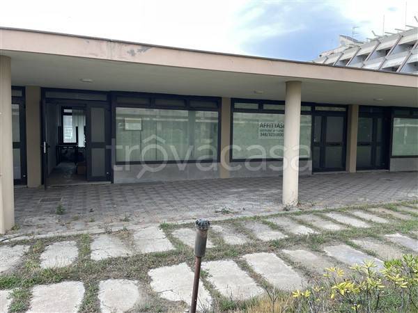 negozio in vendita a Camaiore in zona Lido di Camaiore