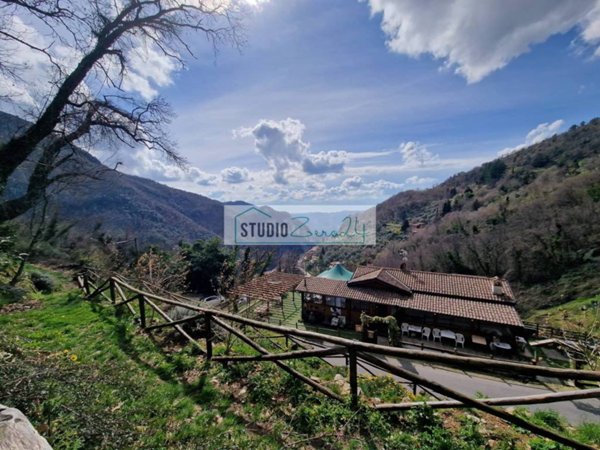 negozio in vendita a Camaiore in zona Casoli