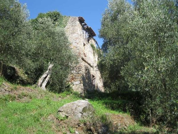 casa indipendente in vendita a Camaiore