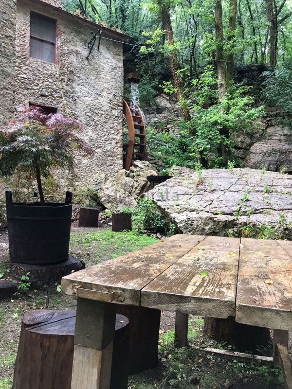 pentavano in vendita a Camaiore