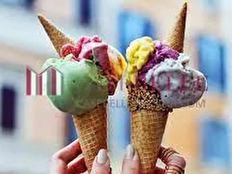 negozio in vendita a Camaiore in zona Lido di Camaiore