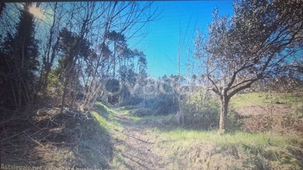 locale di sgombero in vendita a Camaiore in zona Lido di Camaiore