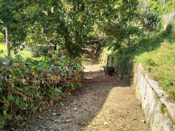 casa indipendente in vendita a Camaiore