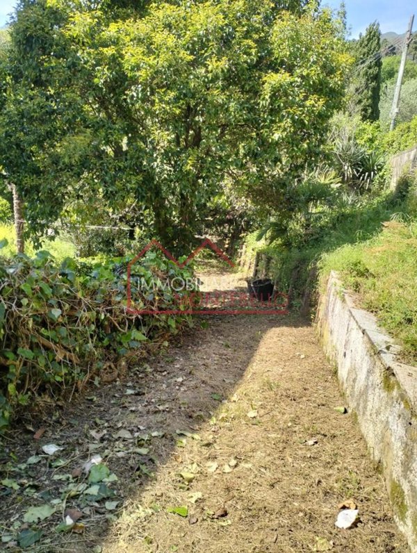 casa indipendente in vendita a Camaiore