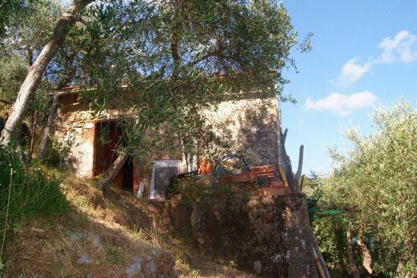 casa indipendente in vendita a Camaiore in zona Torcigliano