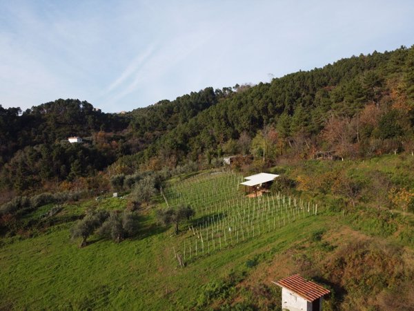 casale in vendita a Camaiore