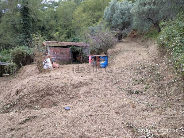 appartamento in vendita a Camaiore