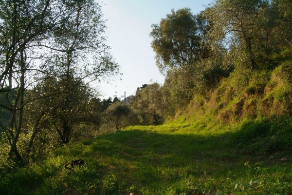 appartamento in vendita a Camaiore