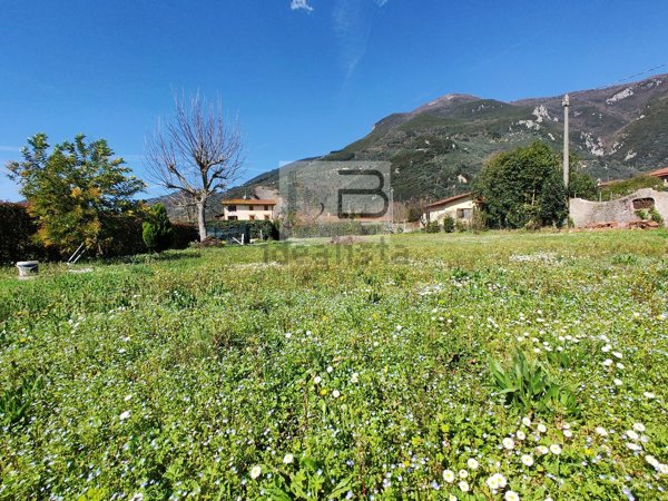casa indipendente in vendita a Camaiore