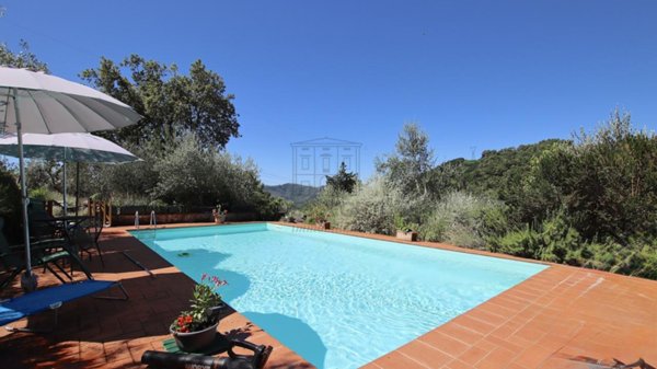 quadrivano in vendita a Camaiore