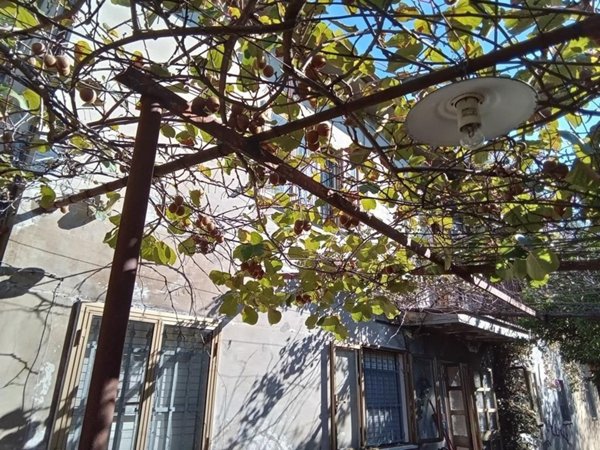 casa indipendente in vendita a Camaiore