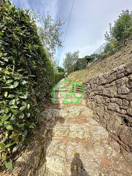 casa indipendente in vendita a Camaiore in zona Orbicciano
