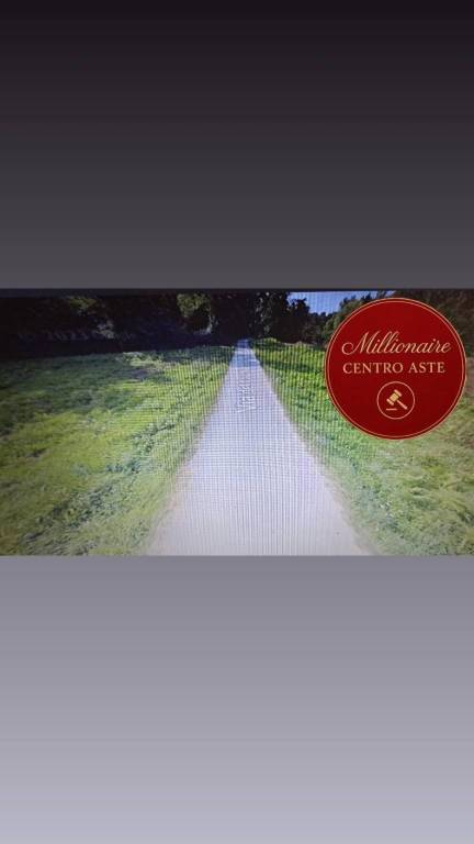 terreno agricolo in vendita a Camaiore in zona Lido di Camaiore