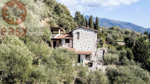 casa indipendente in vendita a Camaiore in zona Montebello