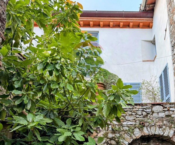 casa indipendente in vendita a Camaiore