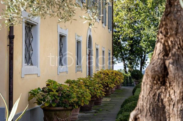 casa indipendente in vendita a Camaiore in zona Pedona